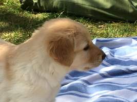IMG_3947.jpg